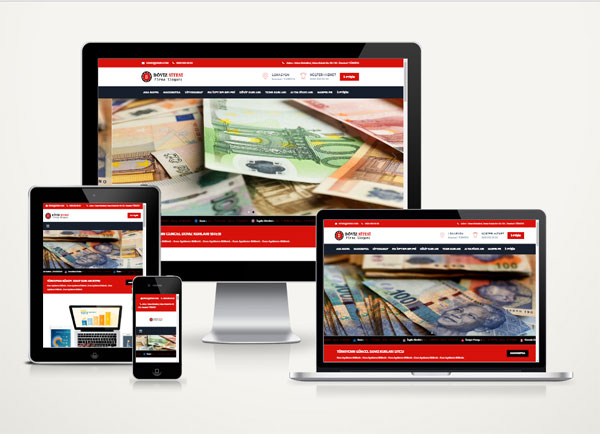 Döviz - Altın Hazır Web Sitesi V2