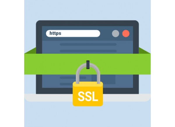 SSL Sertifikası (1 Yıllık)